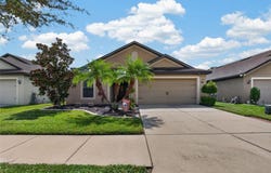 14441 ALISTAR MANOR Drive, WIMAUMA, FL 33598