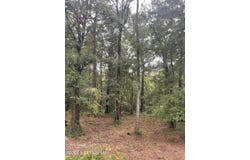 4819 GOPHER Circle, Middleburg, FL 32068
