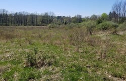 Mary Mac Road, Towanda, PA 18848