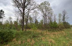 Lake Way lot: 9, Winona, MO 65588