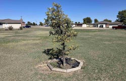 S Spruce, Greensburg, KS 67054