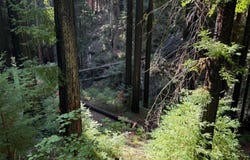 449 Band RD, BOULDER CREEK, CA 95006