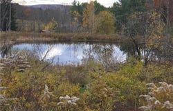 Hardknocks Rd, Unadilla, NY 13849