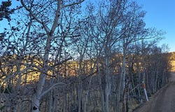 541 War Lane lot: 69, COMO, CO 80432