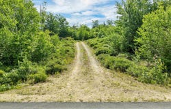 Village Corner Road lot: 5, Wolfeboro, NH 03894
