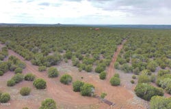 26D Ranch Rd, Show Low, AZ 85901