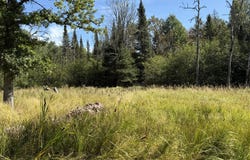 5618 E Simmons Rd, Hessel, MI 49745