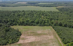 County Road M, Ogema, WI 54459