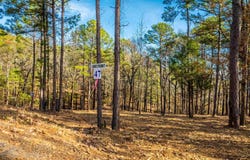 Miller Point (Lot 47) Drive, Quitman, AR 72067