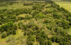 Tract 1 County Rd 159, Riesel, TX 76682