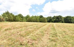 Garner Road, Snow Camp, NC 27349