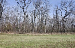 Huggins Road, Huggins, MO 65484