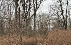 16 Knights Lane, Warwick, NY 10990
