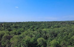 Oak Grove Road, Cabool, MO 65689
