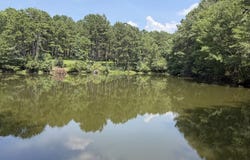O County Road 355, Elba, AL 36323