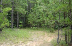 Covington Way, Lanett, AL 36863