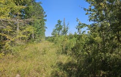 River Bend Road, Columbia, MS 39429