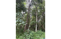 RAVEN WAY, FREE UNION, VA 22940