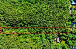 WONDER Ln, Parrish, AL 35580