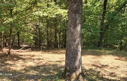 162 Stirling Rd, CAMDEN, TN 38320