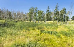 PHILLIPS Road, GREEN BAY, WI 54311