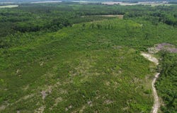 Pughsley Road, Stapleton, GA 30823