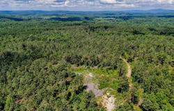 1 County Road 65, Fruithurst, AL 36262