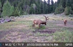 TBD Atchee Ridge Road, Rangely, CO 81648