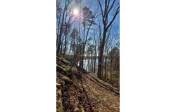 295 SUNSET WAY, Logan, AL 35098