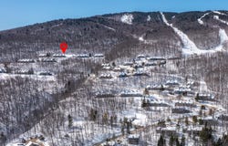 233 Okemo Trailside Extension, Ludlow, VT 05149