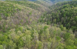 000 Sugar Camp Road, Big Bend, WV 26136