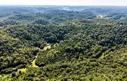 59 Russell Ln, Pleasant Shade, TN 37145