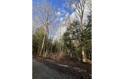 Commons Road lot: # 2, Chateaugay, NY 12920