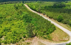 Cool Branch Road, Carlisle, SC 29706