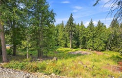 S21 Timber Grove, Sandpoint, ID 83864