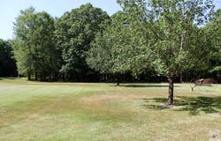 109 LR 709, Ashdown, AR 71822