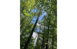 Highway 77, Minong, WI 54859