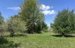 Burke-Delosh Rd, Brasher Falls, NY 13613