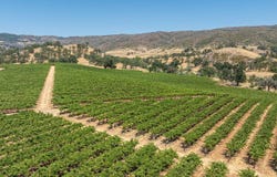 Aetna Springs Lane, Pope Valley, CA 94567