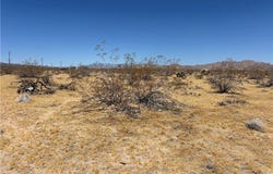 0 Little Road, Joshua Tree, CA 92252