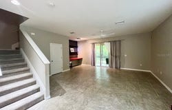 TAMPA, FL 33637