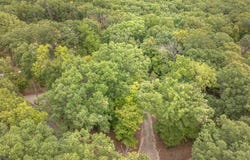 2527 Alpine Trails Drive, Innsbrook, MO 63390