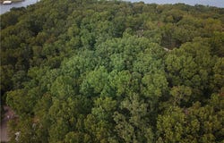 Moss Hollow Lane, Camdenton, MO 65020