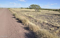 8Z Concho Creek Dr, Concho, AZ 85924