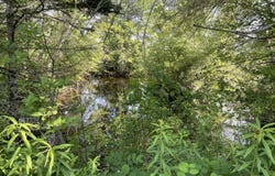 61 Industrial Park Street, Pittsfield, ME 04967