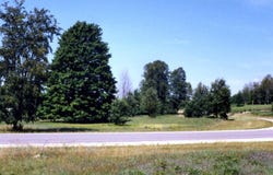 Alden Meadows lot: 39, Alden, MI 49612