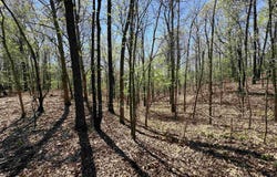 clay rd 431, Pollard, AR 72456