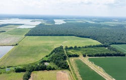 N Gray Rd, Des Arc, AR 72040