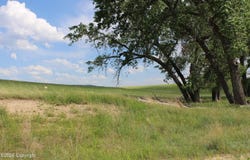 Tract 12 River Road, Hulett, WY 82720