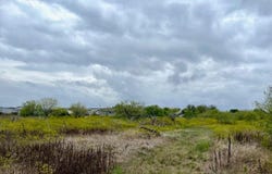 11604 Moore Rd, Austin, TX 78719